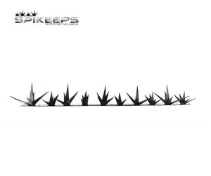 Picos Protección Barda Cactus 5 Metros Calidad Garantizada - Ecart